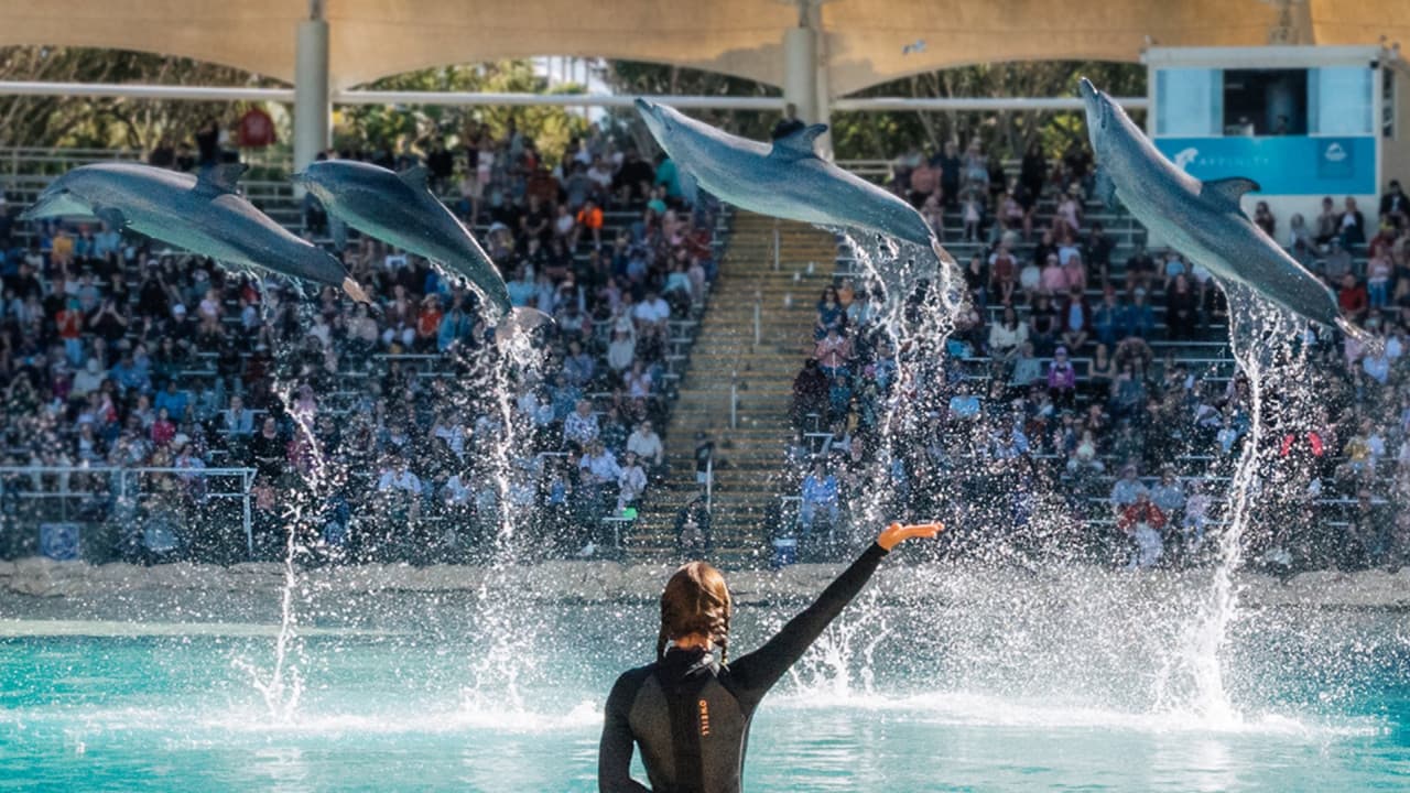 Gold Coast Warner Bros. Movie World, Sea World, Paradise Country and Wet'n'Wild Multiday Pass - تصویر 12