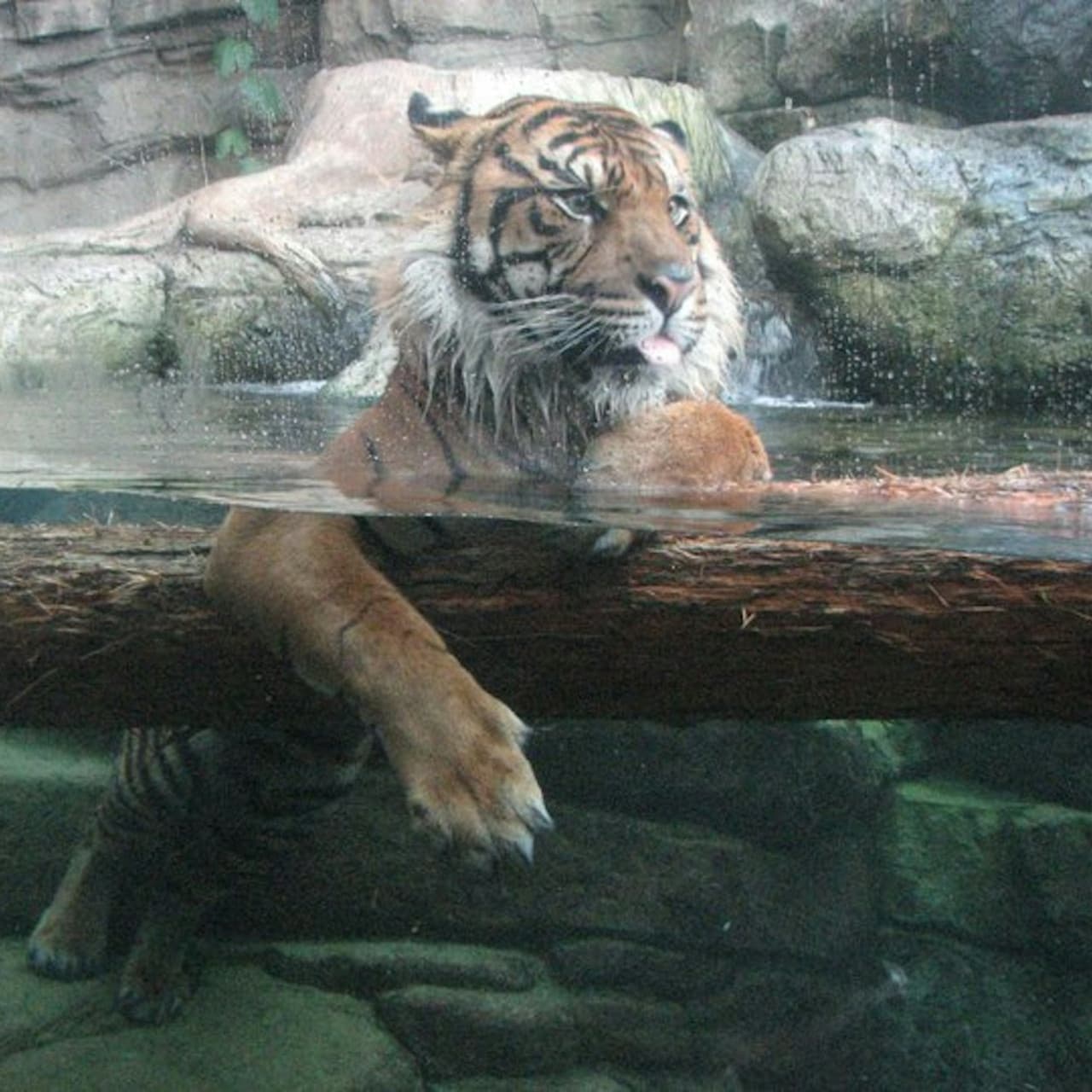 Downtown Aquarium Denver Ticket - تصویر 13