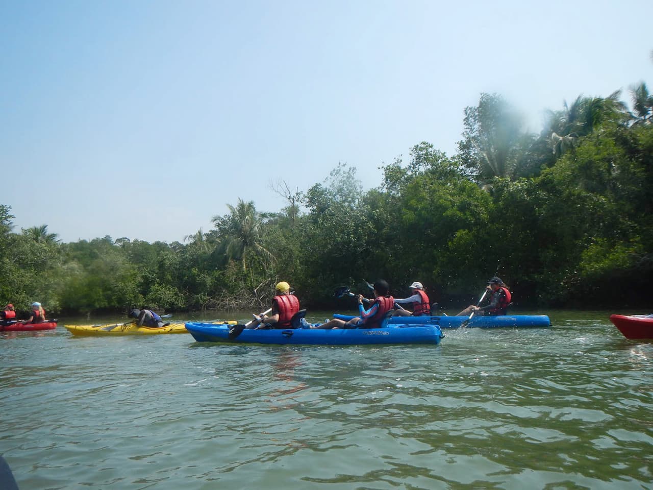 Pulau Ubin Kayaking - تصویر 27