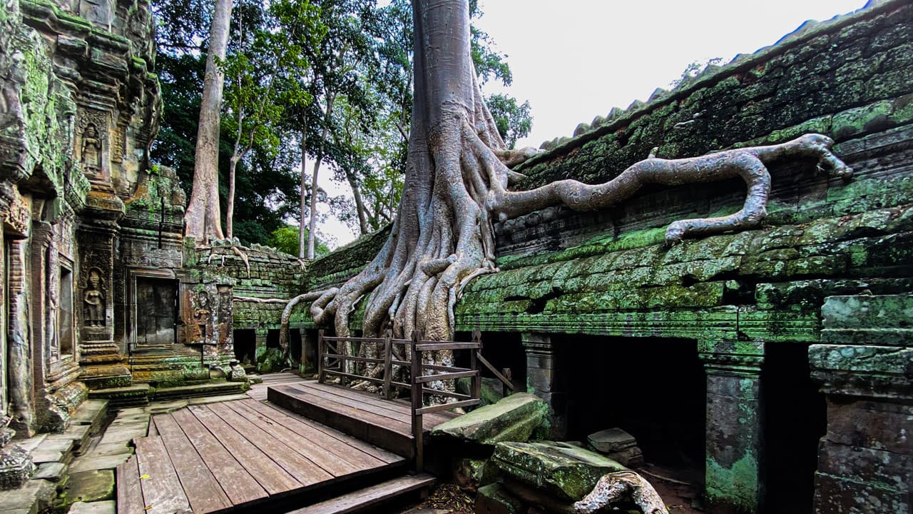 Angkor Temples Tour - تصویر 2