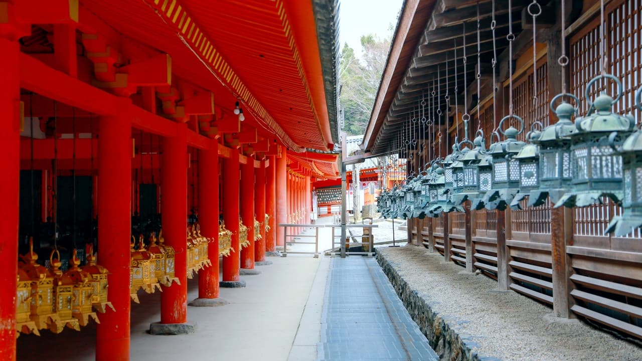 Kyoto and Nara Full-Day Tour from Osaka: Kiyomizudera Area, Fushimi Inari Taisha, Nara Park - تصویر 5