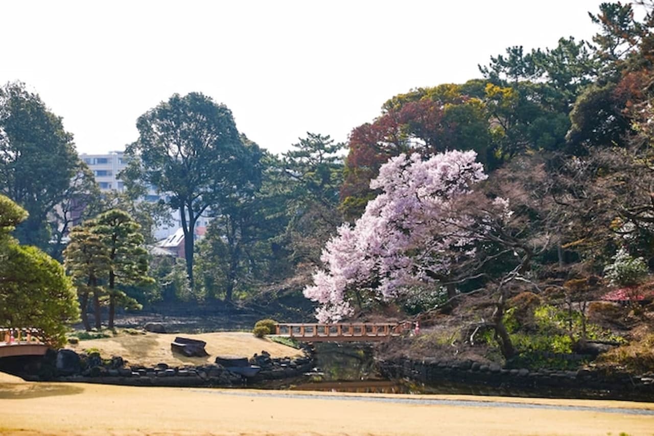 Shinjuku Gyoen National Garden Ticket - تصویر 4