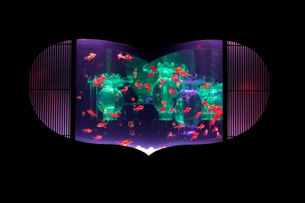 Art Aquarium Museum GINZA Ticket - تصویر 11