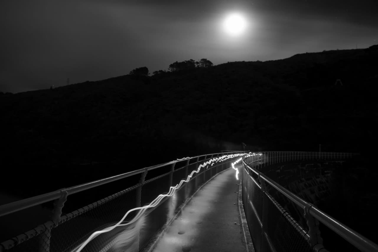 Zealandia Night Tour - تصویر 5