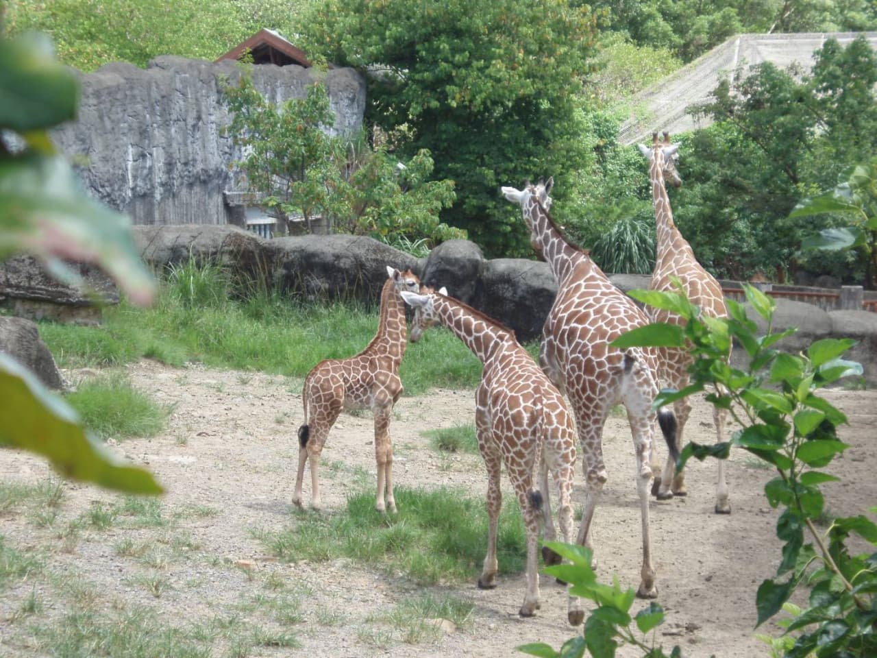 Taipei Zoo - تصویر اصلی