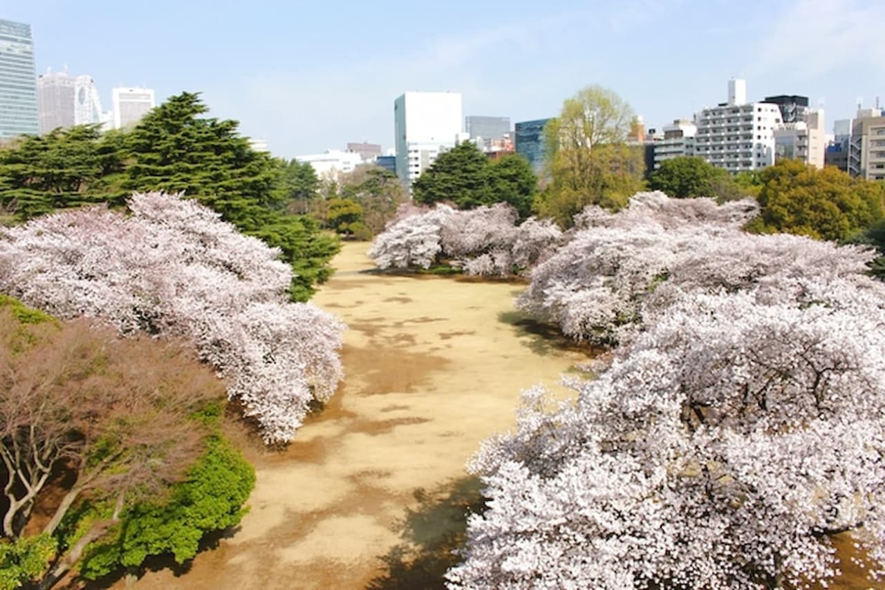 Shinjuku Gyoen National Garden Ticket - تصویر اصلی