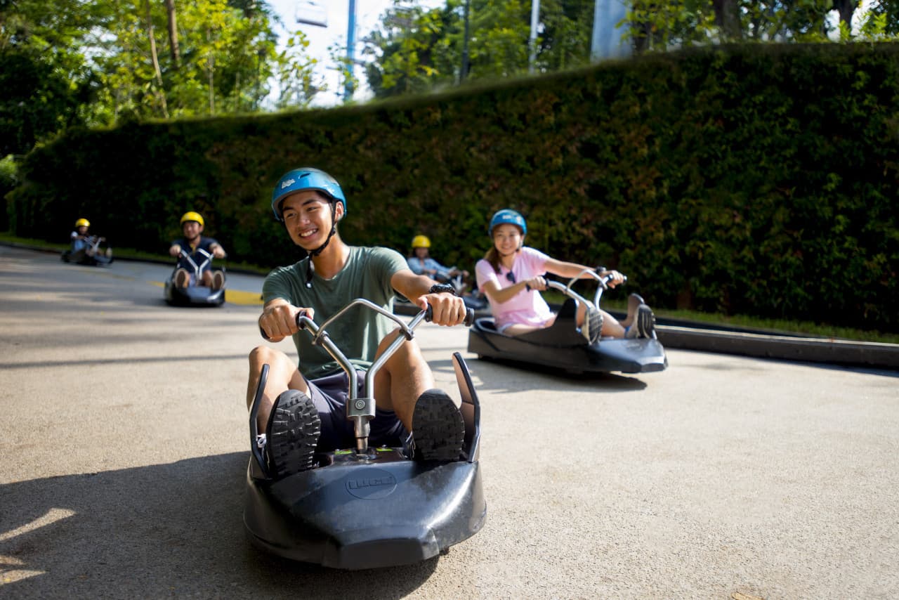 COMBO: Skyline Luge Singapore + Gardens by the Bay Ticket - تصویر 8