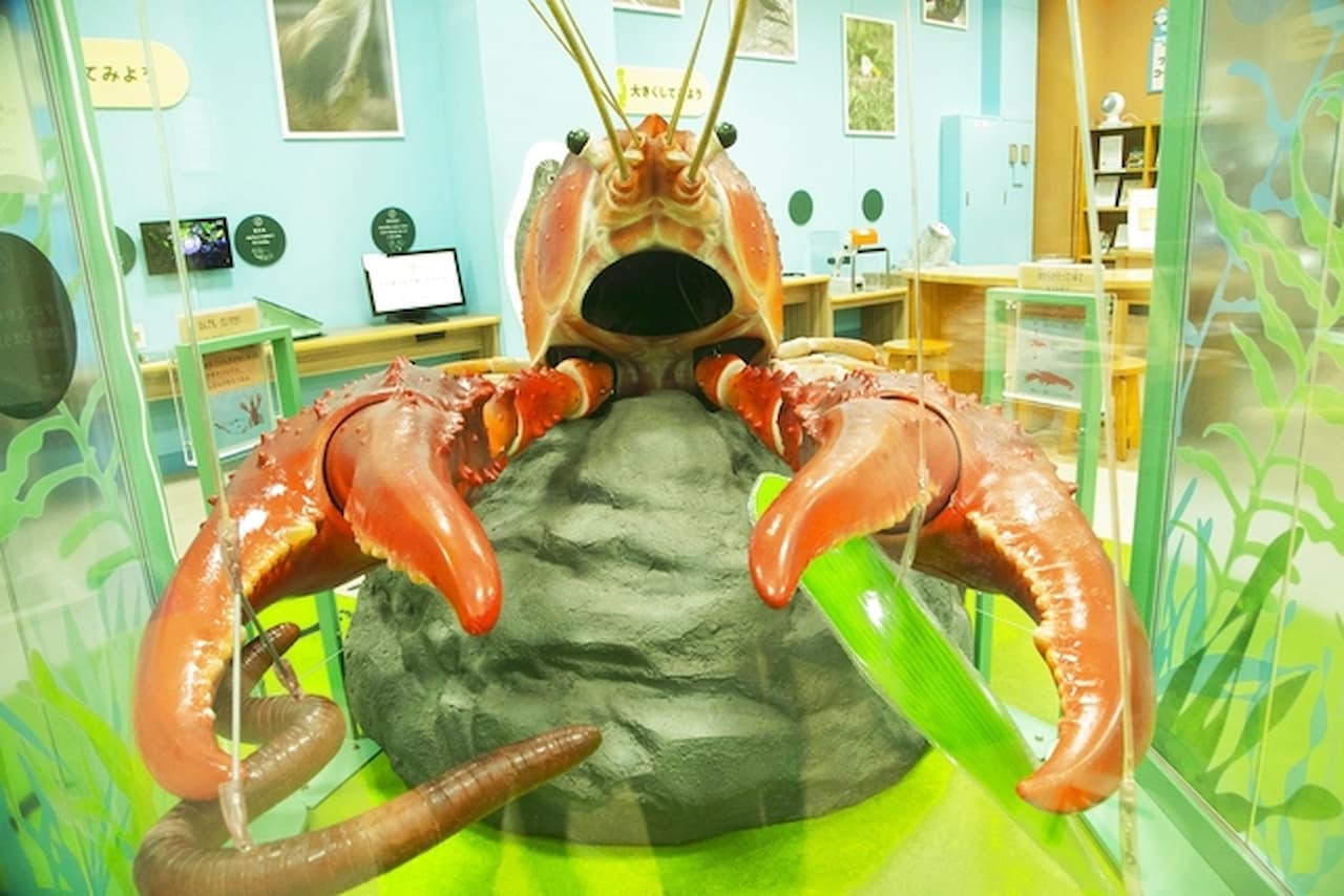 Lake Biwa Museum Ticket - تصویر 2