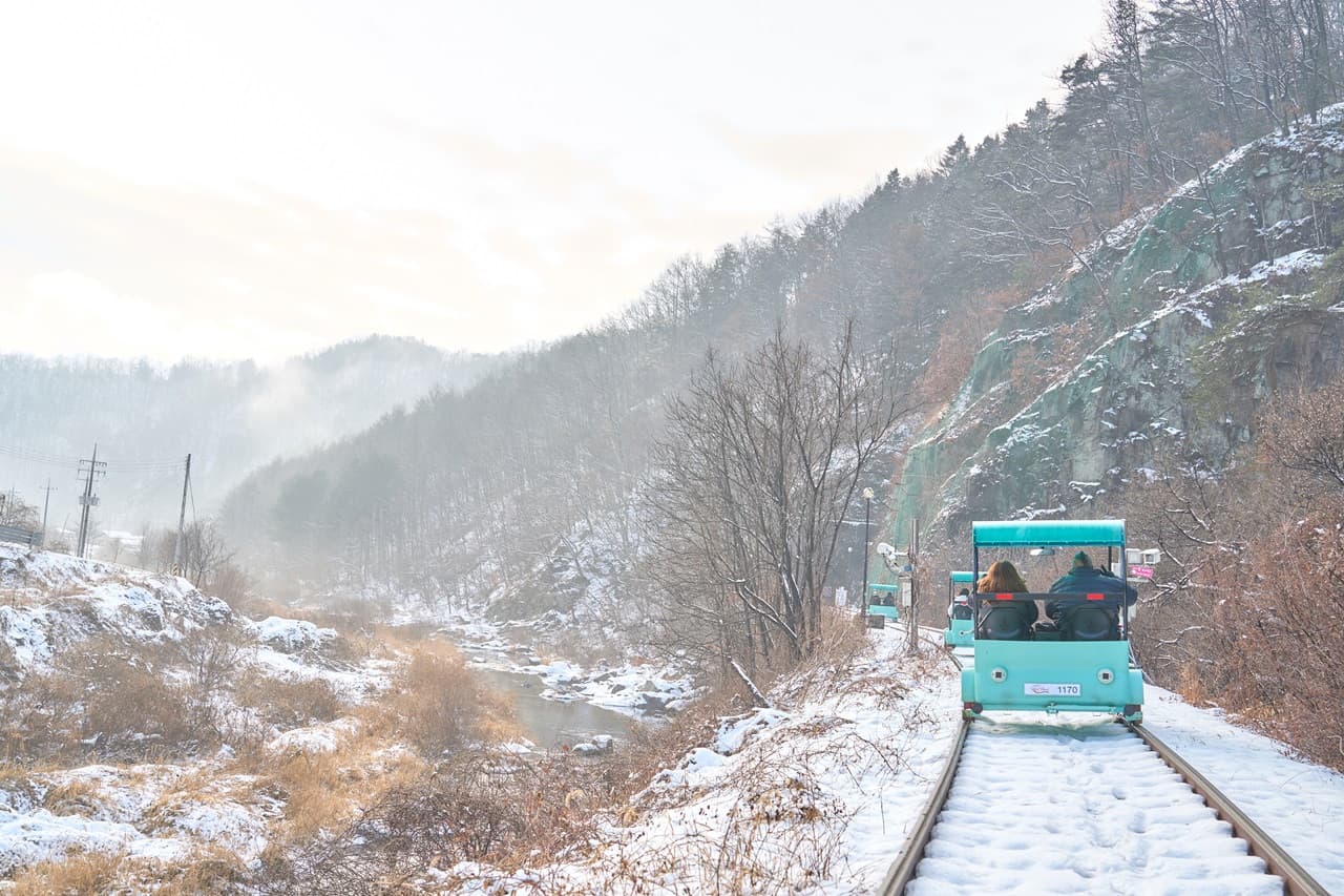 Nami Island, Mount Seorak, and Garden of Morning Calm Full-Day Tour from Seoul - تصویر 18