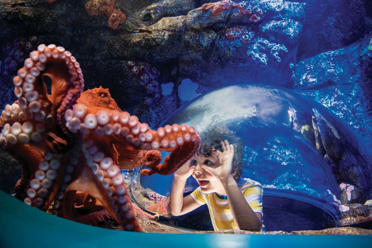 Go City San Diego Essentials Pass: Save up to 50% on Attractions - تصویر 3