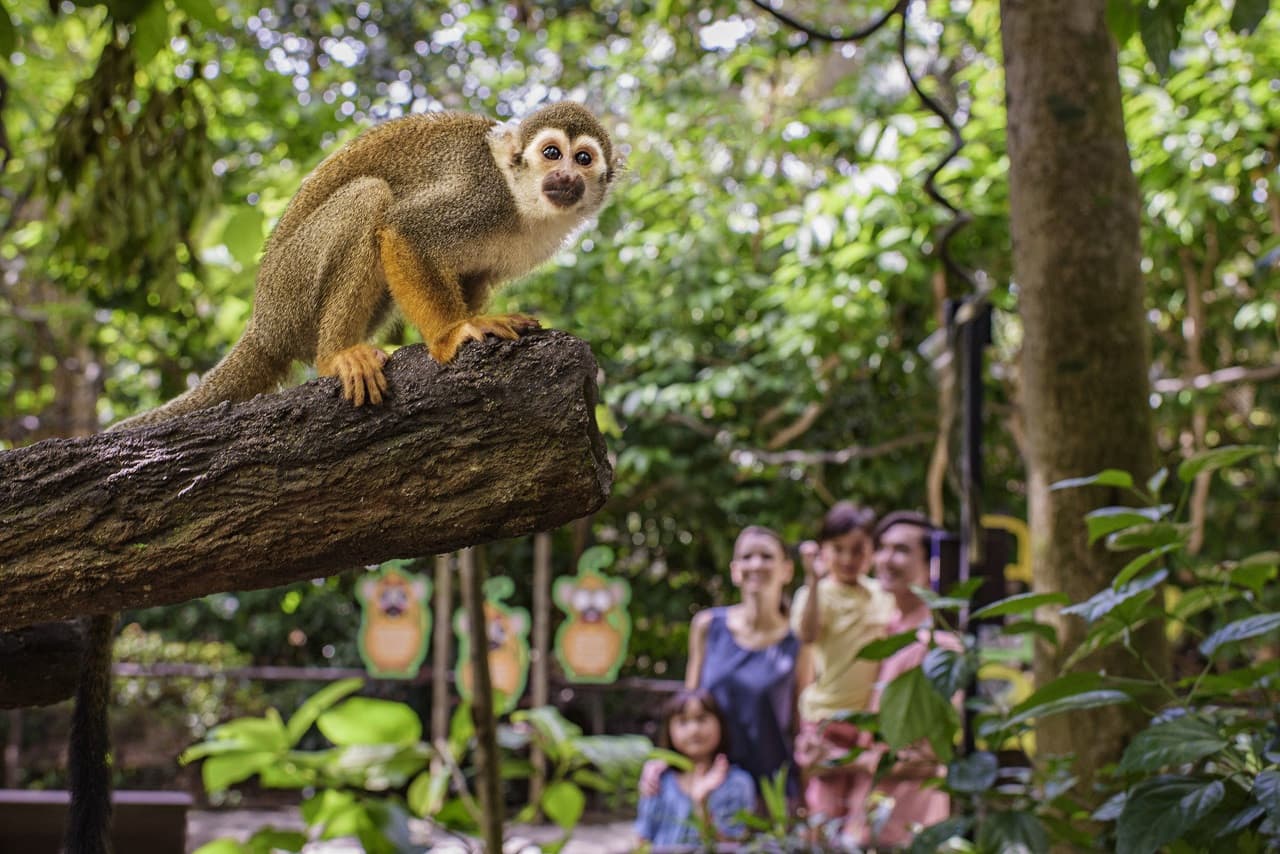River Wonders Singapore Ticket - تصویر 11