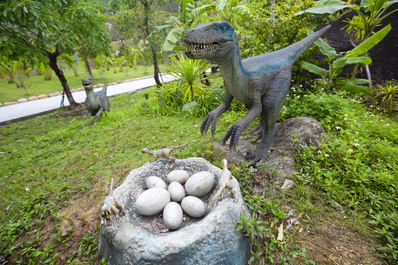 Nui Than Tai Hot Springs Park Tour - تصویر 12