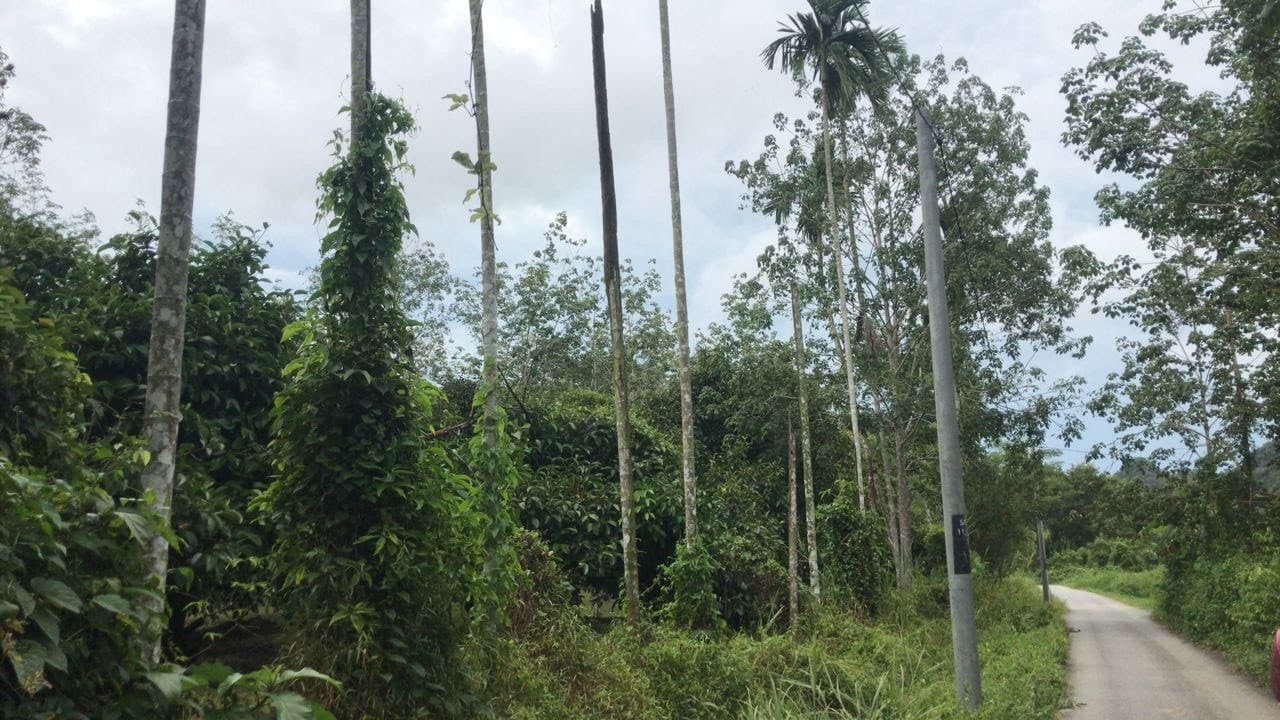 Langkawi Countryside Biking Tour - تصویر 5
