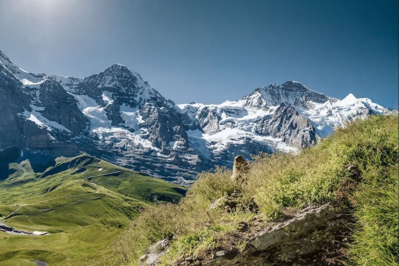 Jungfraujoch: Roundtrip Train from Grindelwald - تصویر 5