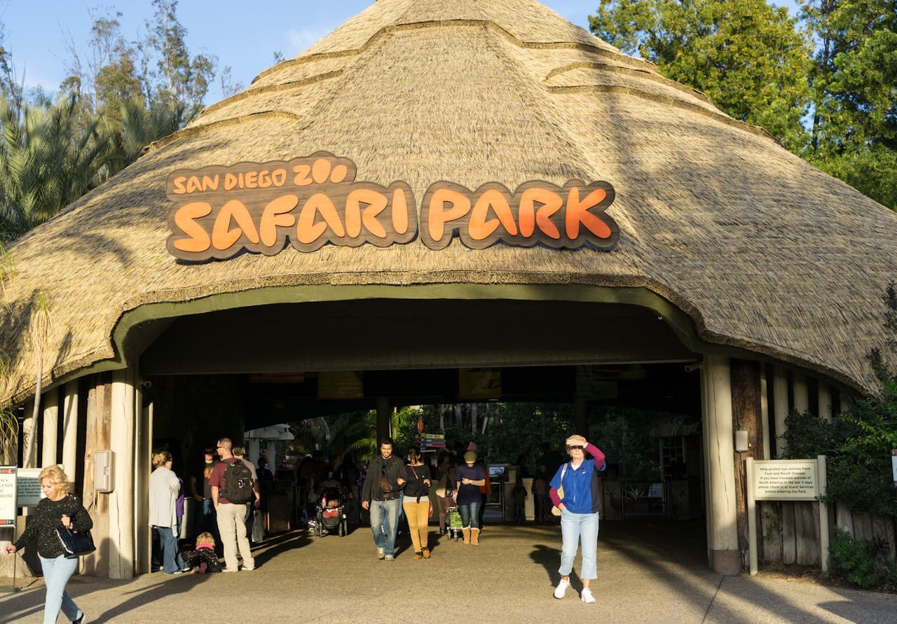 San Diego Zoo Safari Park Ticket - تصویر 8