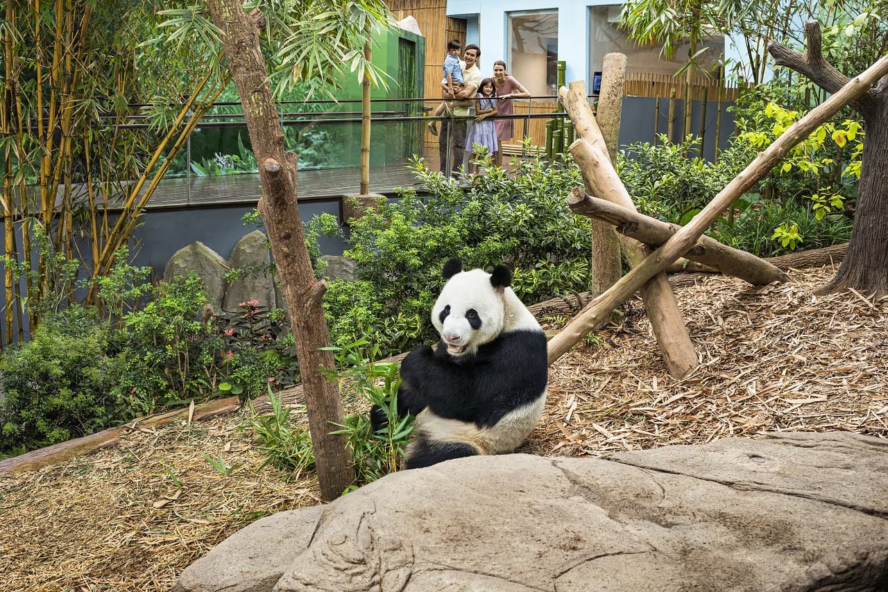 River Wonders Singapore Ticket - تصویر 4