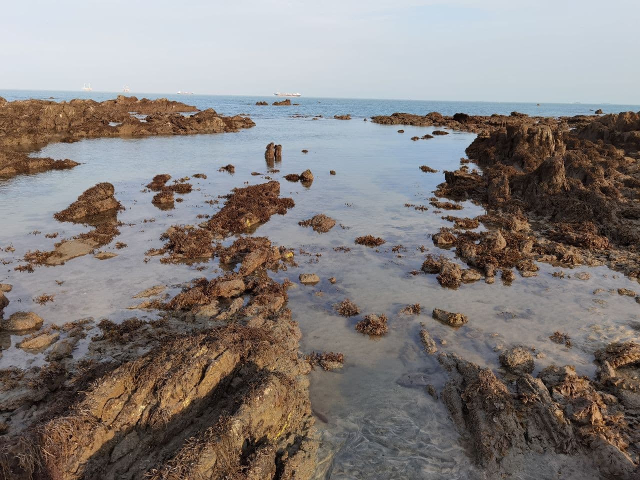 Desaru Beach and Tide Pool Walk - تصویر 4