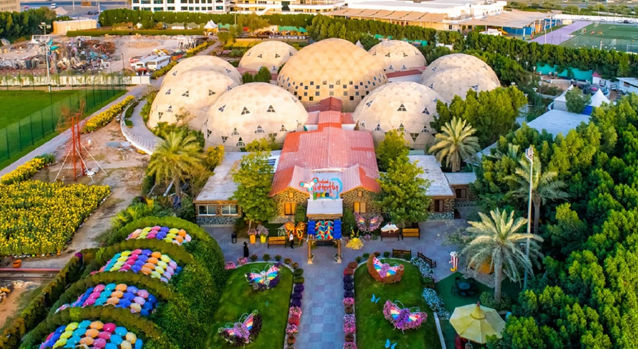 Dubai Butterfly Garden - تصویر 4
