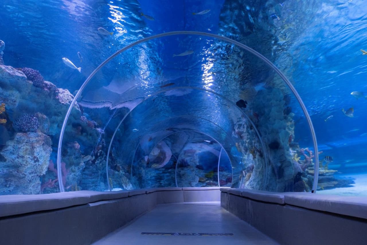 Emaar Aquarium and Underwater Zoo Ticket - تصویر 5