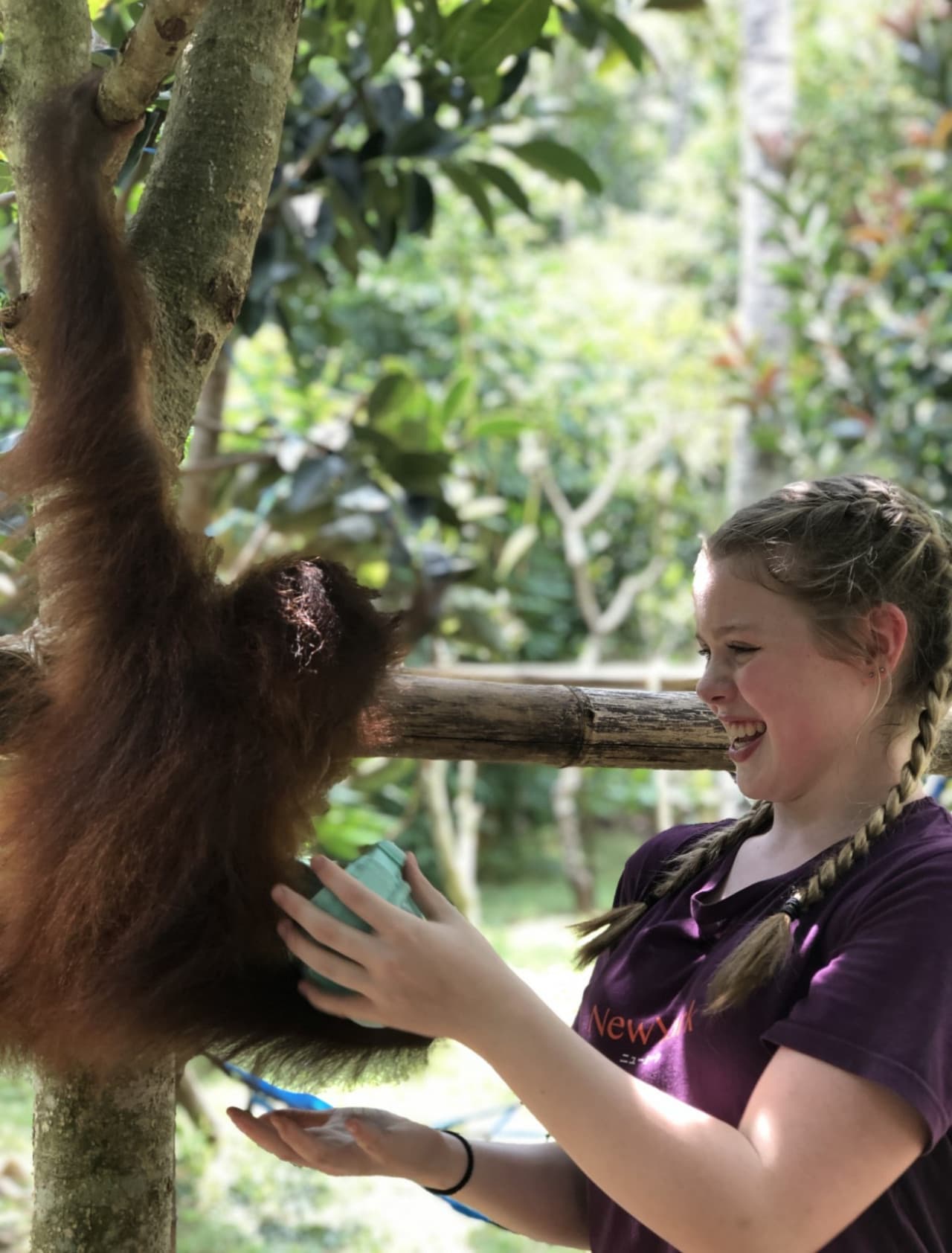 Lombok Wildlife Park - تصویر 6
