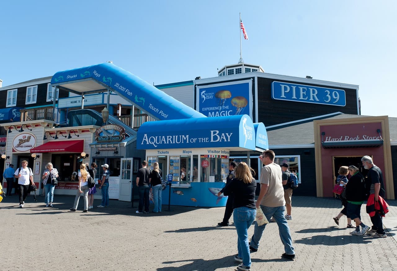 Aquarium of the Bay Ticket - تصویر 3