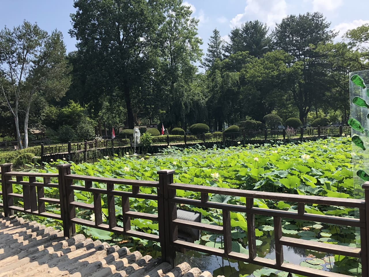 Nami Island, Mount Seorak, and Gapyeong Rail Bike Full-Day Tour from Seoul - تصویر 17