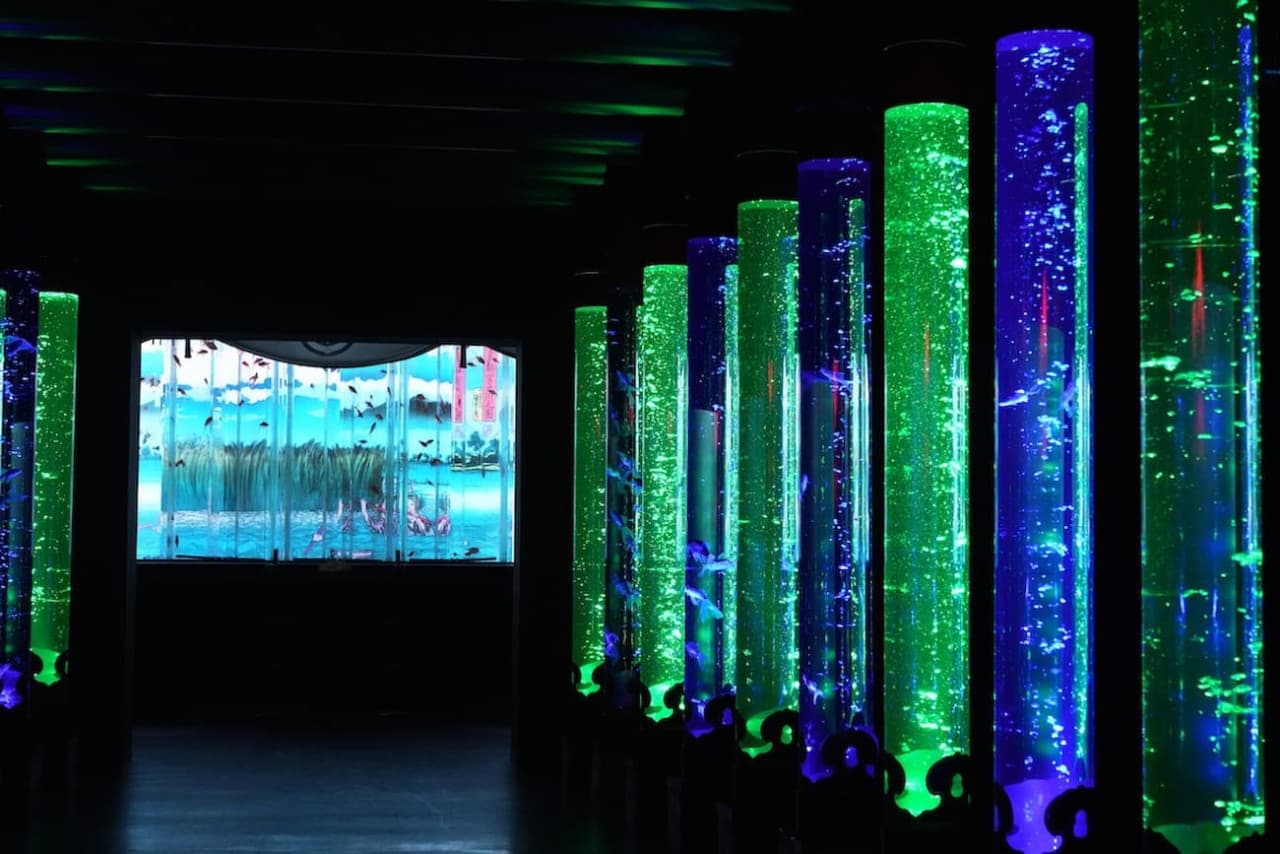 Art Aquarium Museum GINZA Ticket - تصویر 3