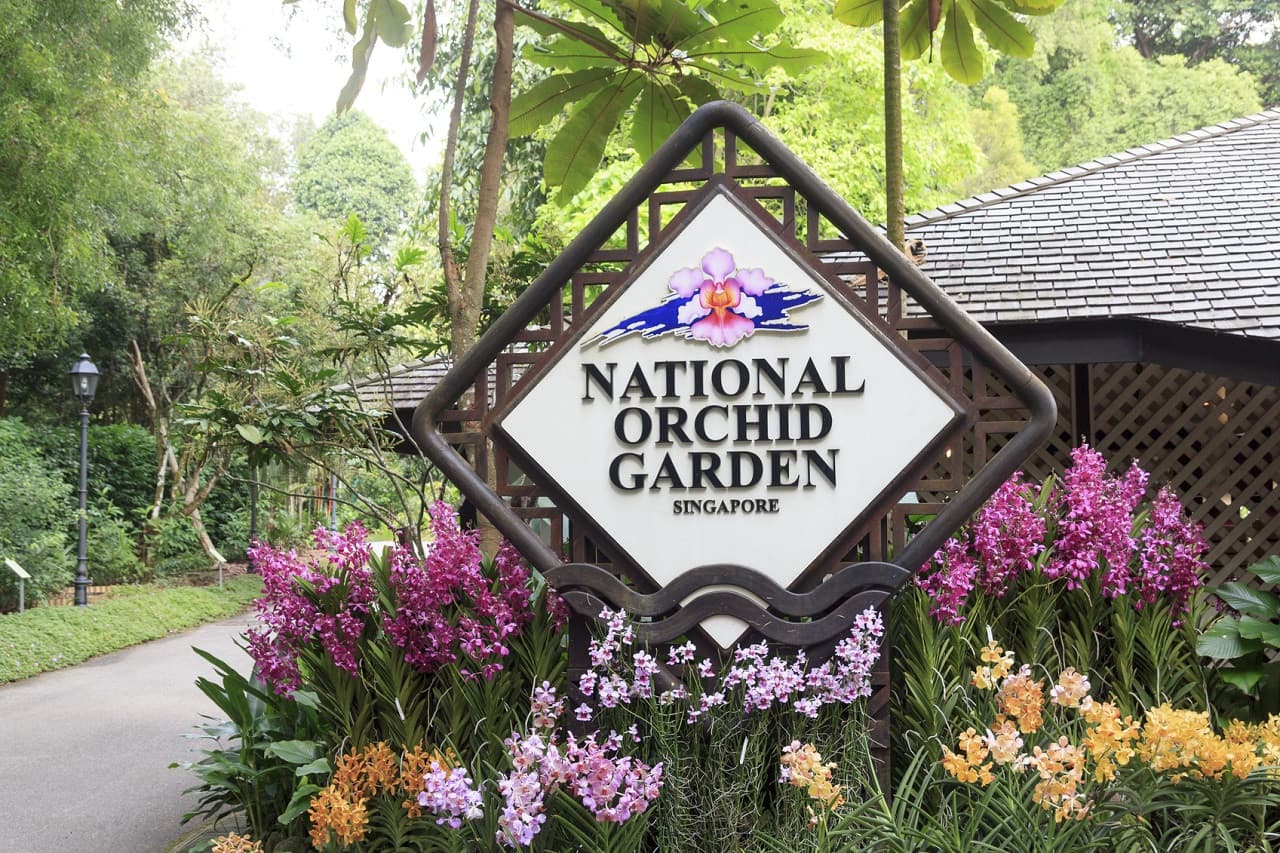 COMBO: Gardens by the Bay - Floral Fantasy + National Orchid Garden - تصویر 2