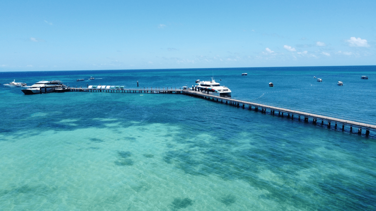 Green Island Reef Full-Day Cruise - تصویر 2