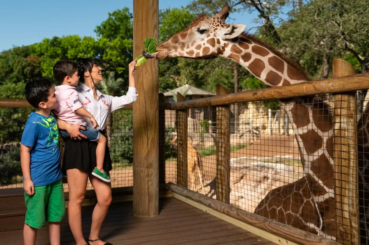 San Antonio Zoo Ticket - تصویر 2