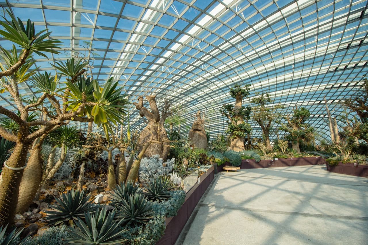 COMBO: Gardens by the Bay - Double Conservatories + Floral Fantasy Ticket - تصویر 11