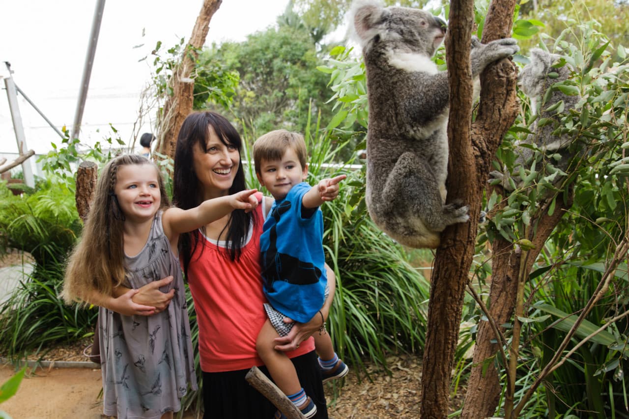 WILD LIFE Sydney Zoo Direct Entry Ticket - تصویر 2