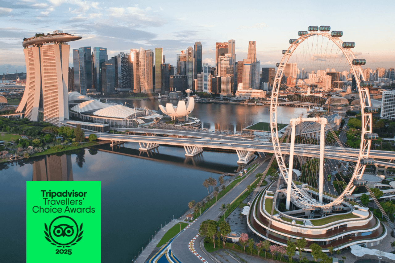 Singapore Flyer Ticket - تصویر اصلی