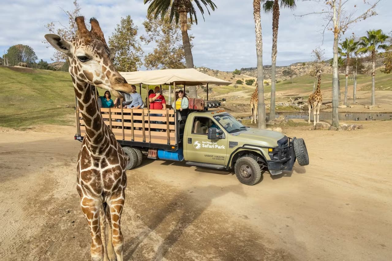 2-Visit Pass: San Diego Zoo + San Diego Zoo Safari Park Tickets - تصویر 10
