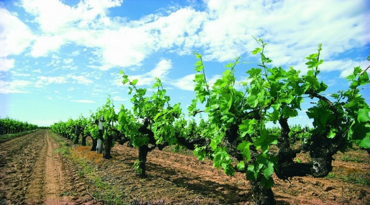 Margaret River Beer Tasting Tour from Perth - تصویر 4