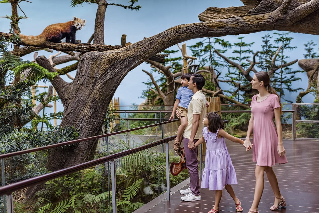 COMBO: Singapore Zoo + River Wonders Ticket - تصویر 14