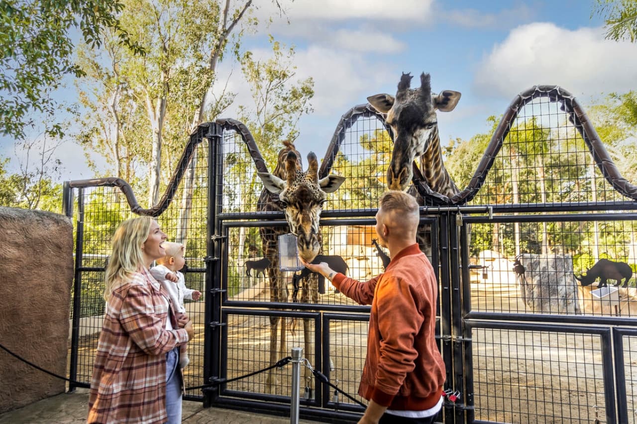 Go City San Diego Essentials Pass: Save up to 50% on Attractions - تصویر 2