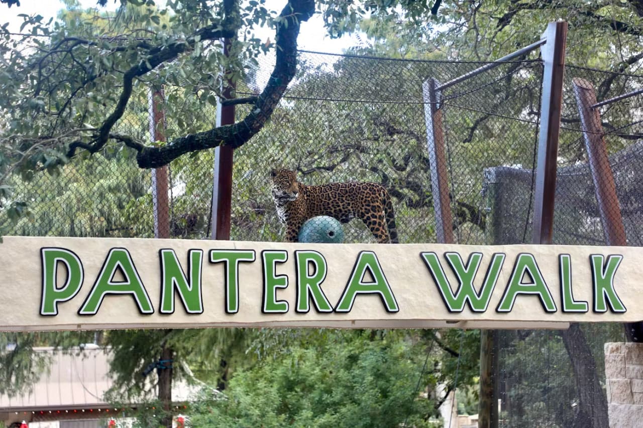San Antonio Zoo Ticket - تصویر 10