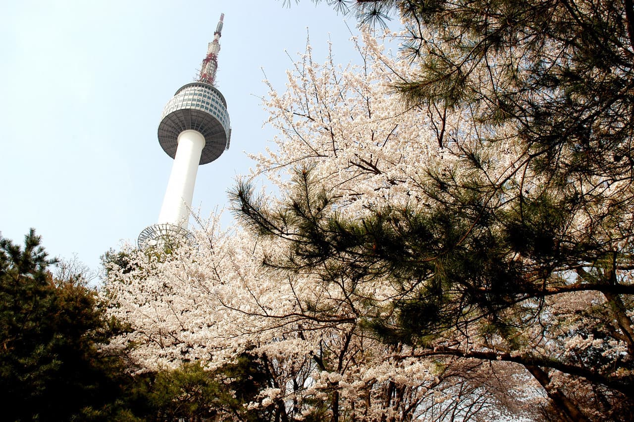 COMBO: AREX Incheon Airport Express Train + N Seoul Tower Observatory - تصویر 10