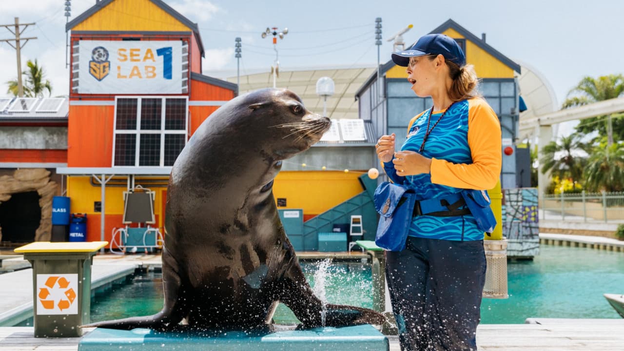 Gold Coast Warner Bros. Movie World, Sea World, Paradise Country and Wet'n'Wild Multiday Pass - تصویر 13