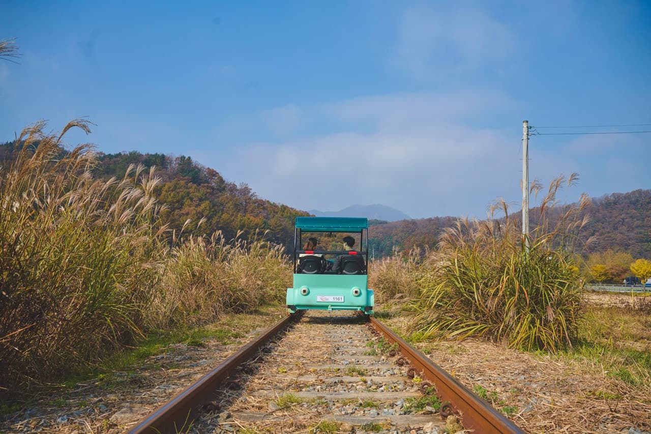 Nami Island, Mount Seorak, and Gapyeong Rail Bike Full-Day Tour from Seoul - تصویر 2