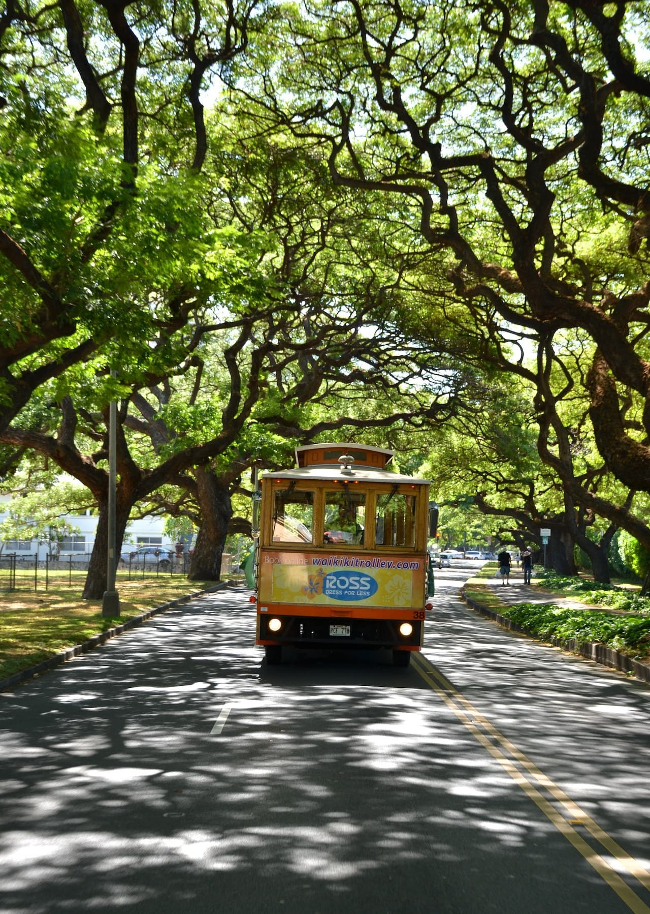 Waikiki Trolley Hop-on Hop-off Bus Tour - تصویر 5