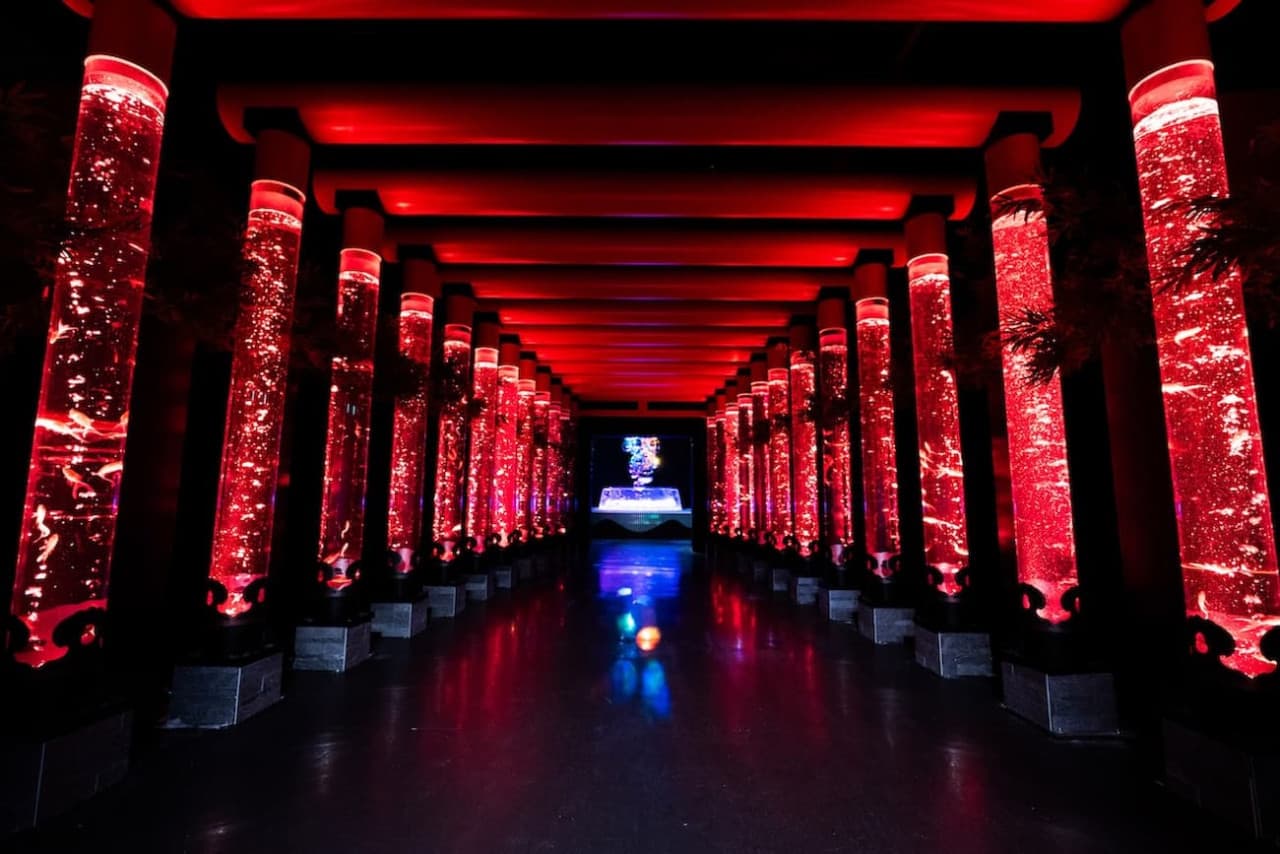 Art Aquarium Museum GINZA Ticket - تصویر 2