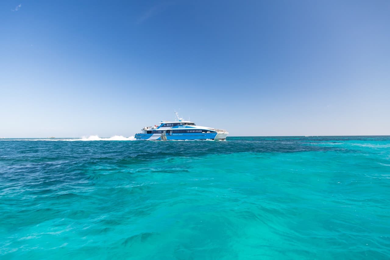 Round Trip SeaLink Ferry Transfer to Rottnest Island with Bike Hire - تصویر 12