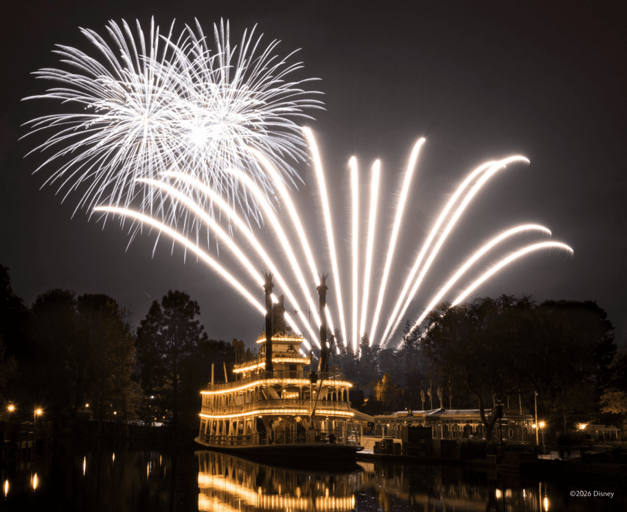 Disneyland Park and Disney California Adventure Park Ticket - تصویر 20