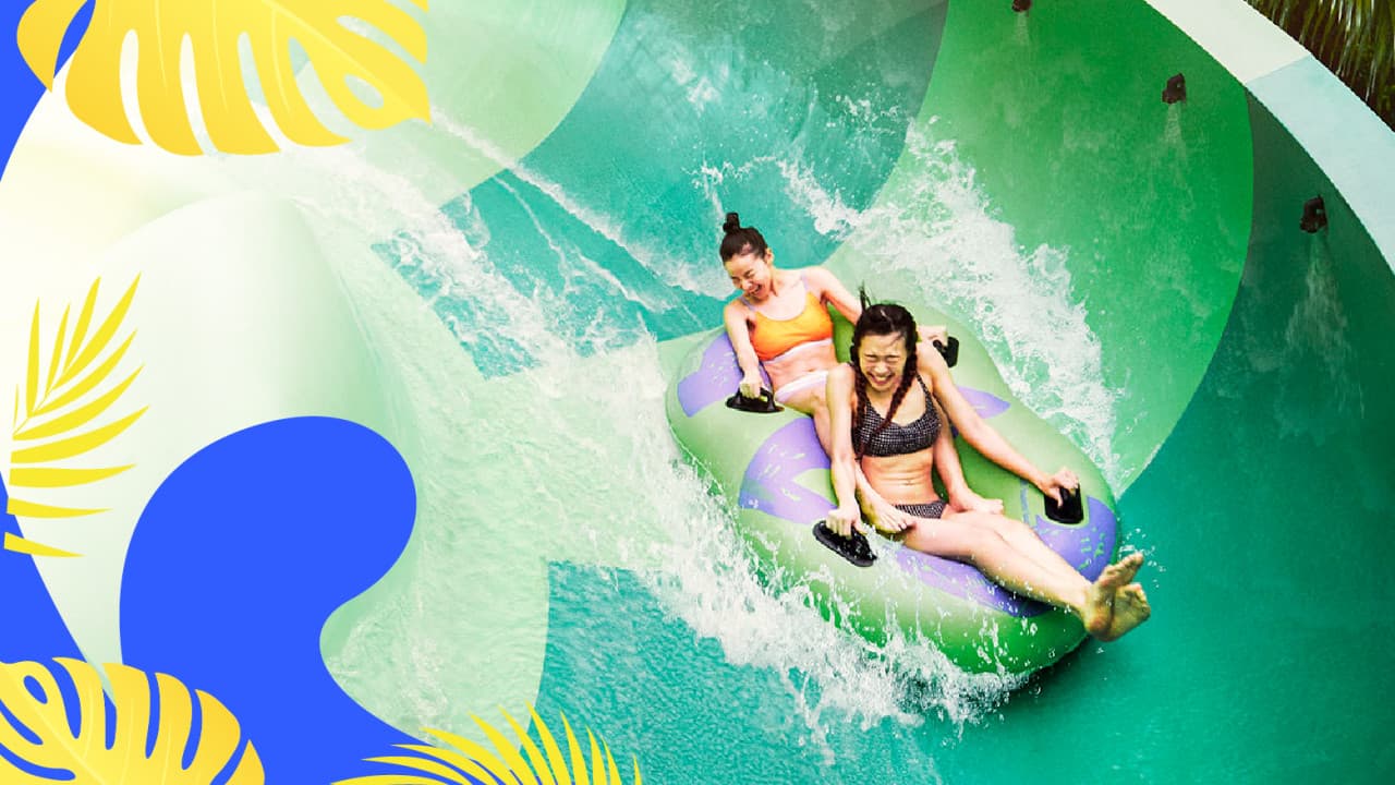 Adventure Cove Waterpark Ticket - تصویر 4