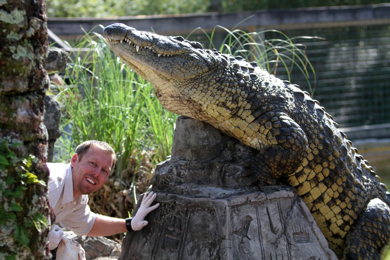 Go City Orlando All-Inclusive Pass: Save up to 50% on Attractions - تصویر 8