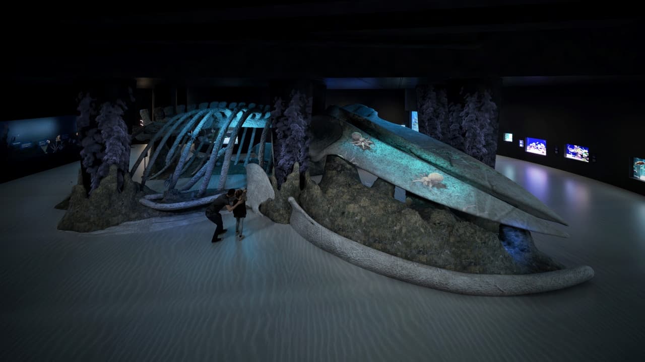 Singapore Oceanarium Insider Experience - تصویر 6