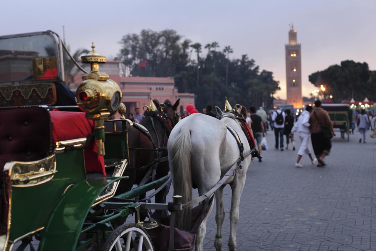 Marrakech Full-Day Tour from Casablanca: Koutoubia Mosque, Menara Gardens, Djemaa El Fna Square - تصویر 3