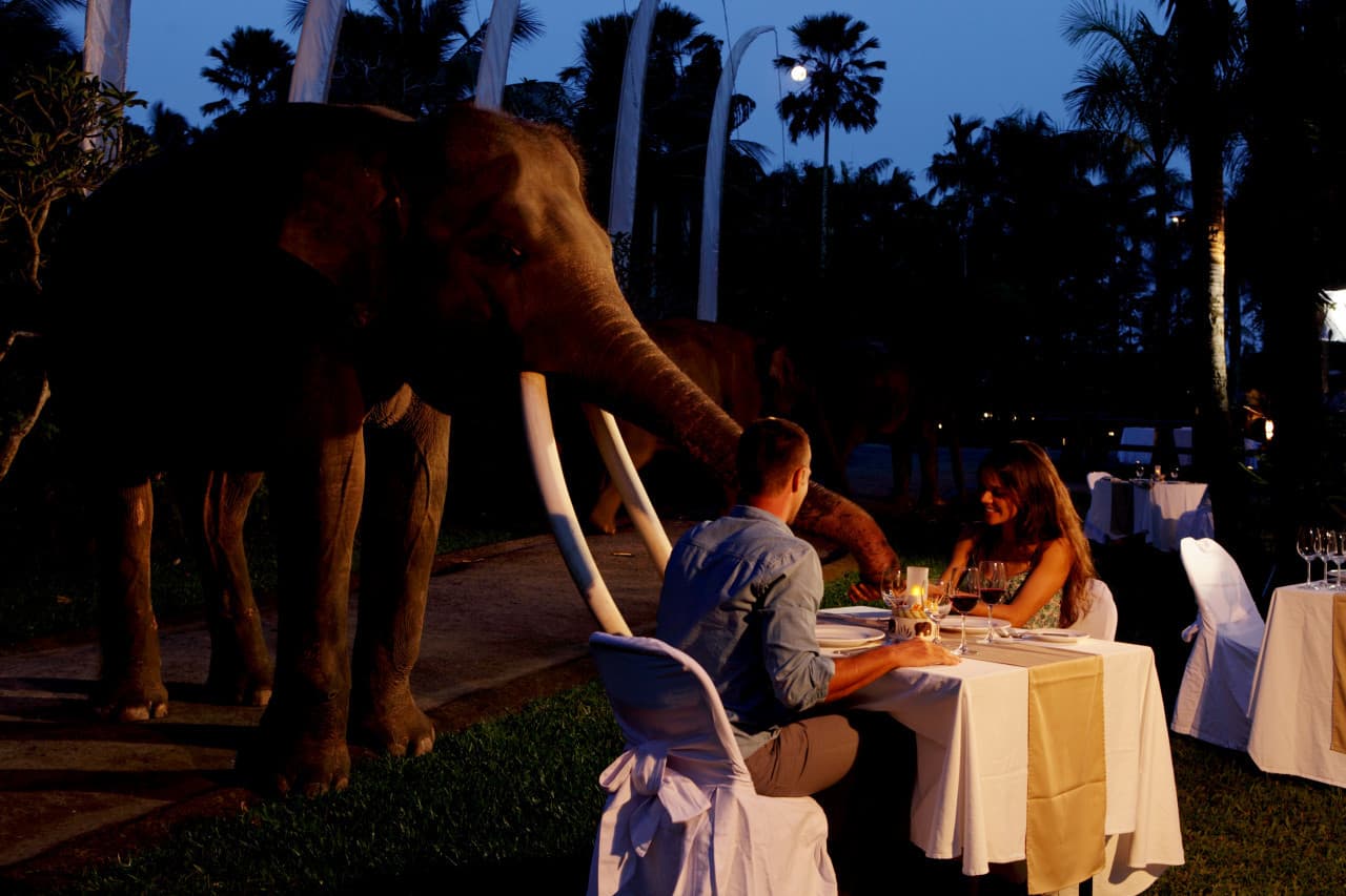 Mason Elephant Park Bali by Mason Adventures (Formerly known as Elephant Safari Park) - تصویر 12